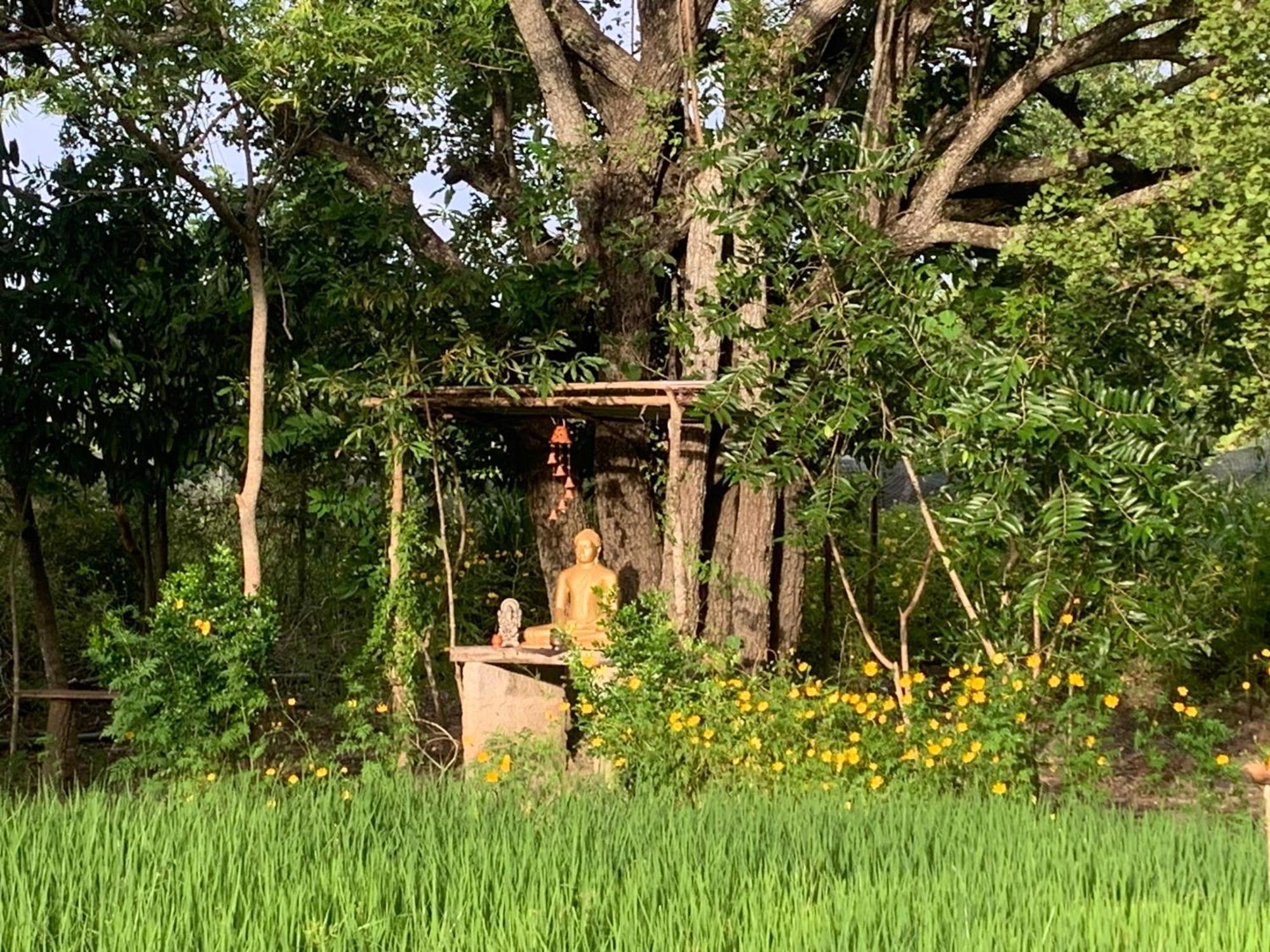 Sahana Retreat Buttala Exterior photo
